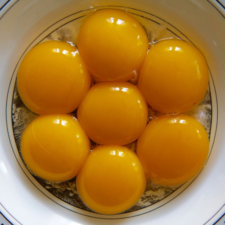 Egg Yolk