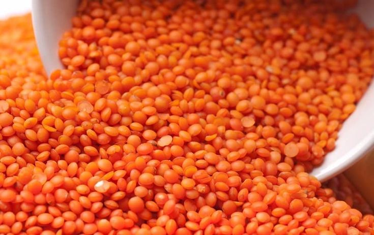 Yellow Corn