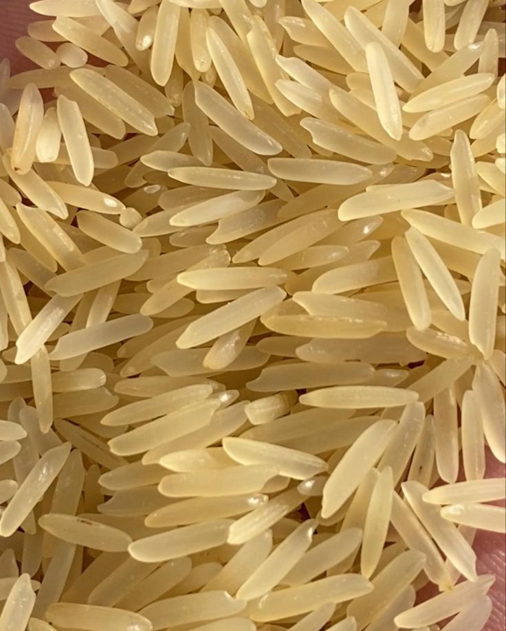Wheat Grains