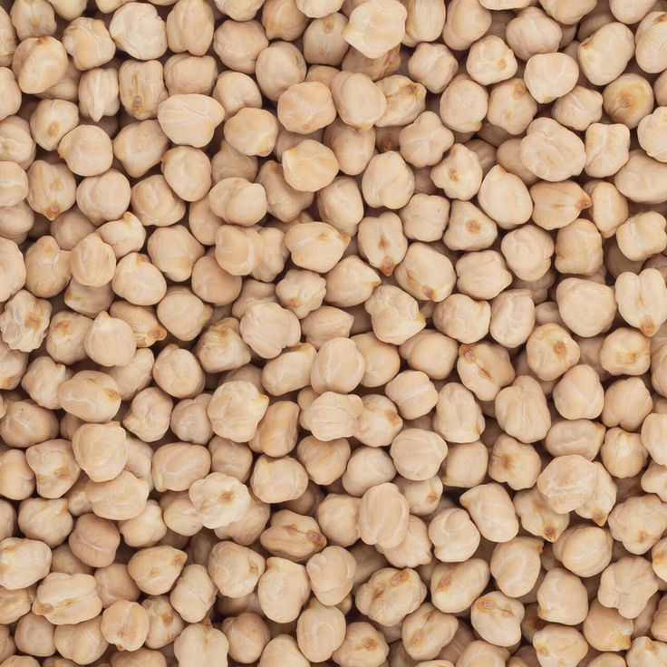 Wheat Grains