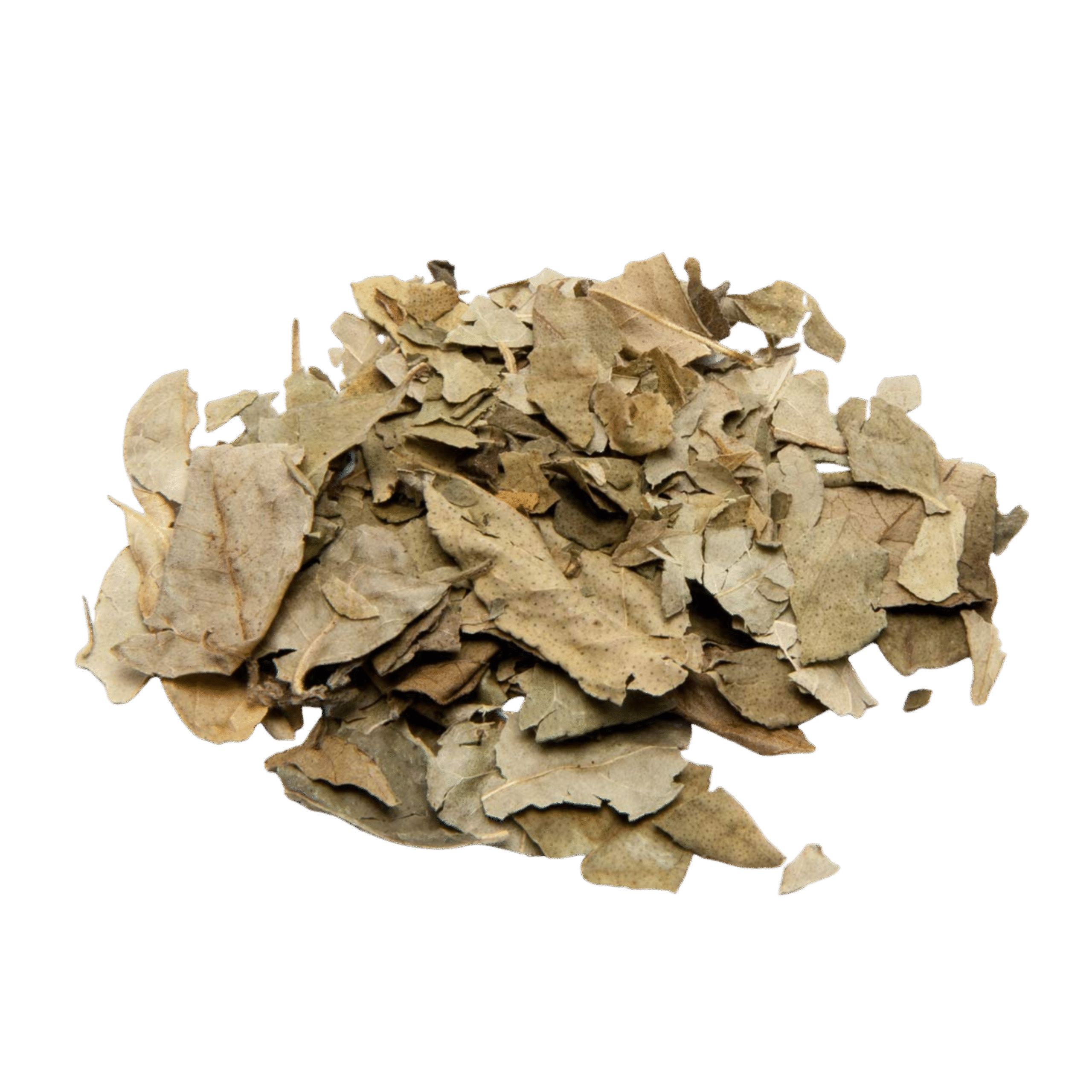 Milk Chocolate Hazelnut