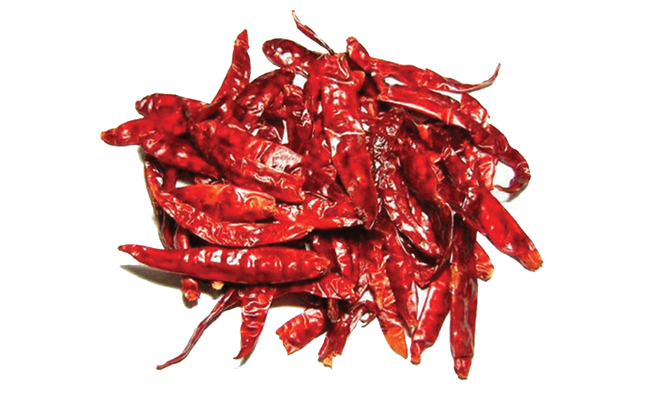 Milk Chocolate Hazelnut