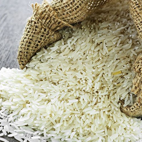 Wheat Grains