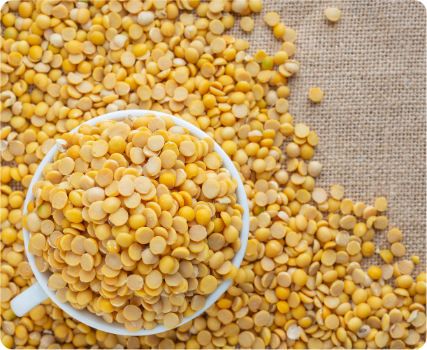 Yellow Corn