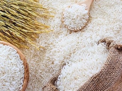 Wheat Grains