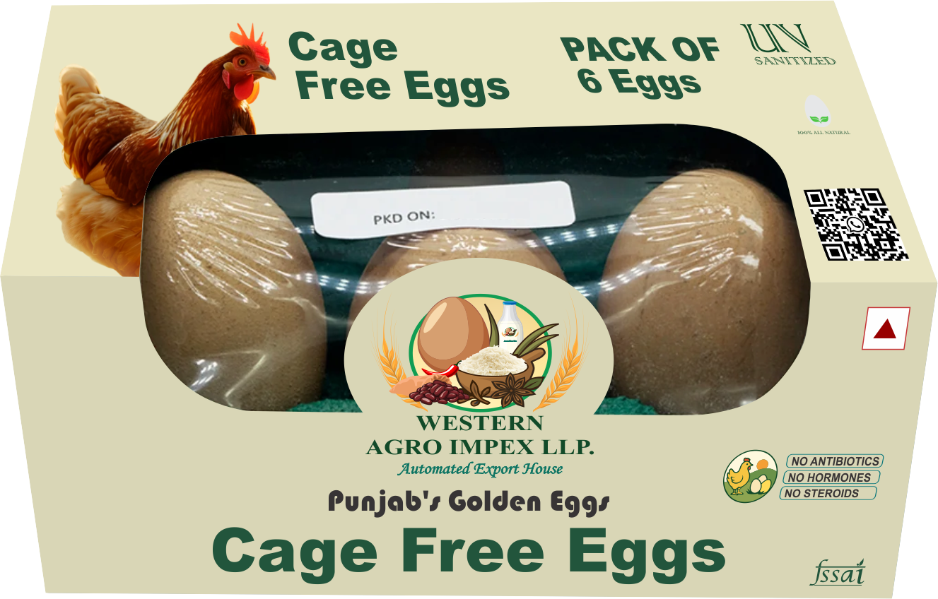 Cage Free