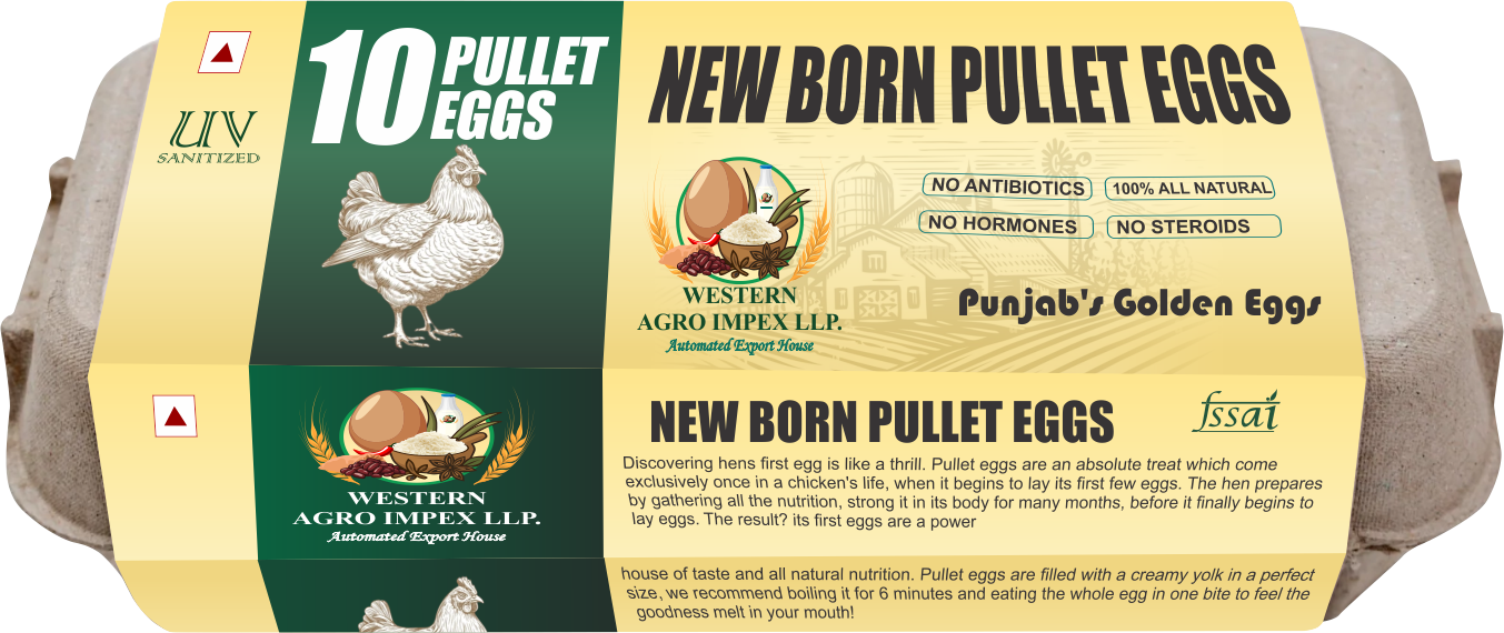 Pullet Eggs 2