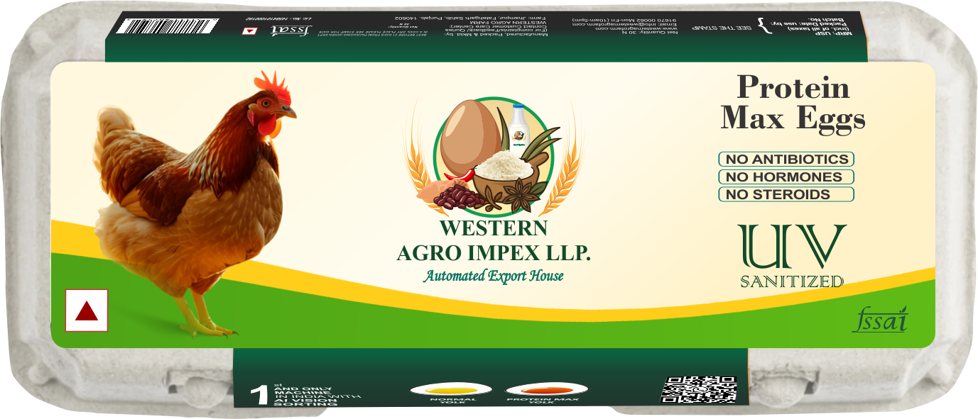 2 Pack of Protein Max 10 Eggs